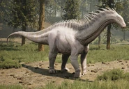 Albino Uncommon 10,000