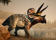 Eotriceratops