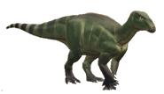 IguanodonJuvenile