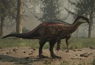 Campto strawberry.jpg (168 KB) Strawberry