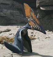 Silvery Common 2,000