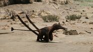 Melanistic (10000)