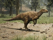 Campto Skin (2).jpg (449 KB) Depths