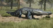 Speckled Rare 7,000