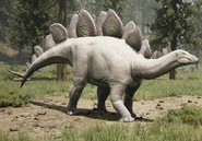 Albino Legendary 10,000