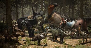 AllHerbivores