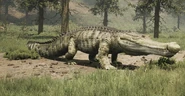 Greyback Common 1,000
