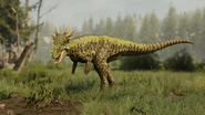 Pachycephalosaurus