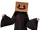 Box Club Leader