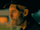 Grampa Flick (h2023gradverse)