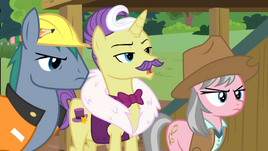 TheExpertPonies