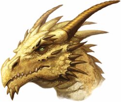 Gold Dragon