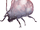 Torble
