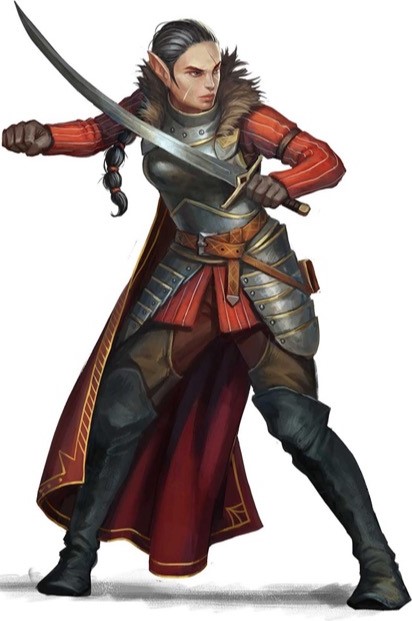 Pathfinder Kingmaker - Sword and Board Bruiser 