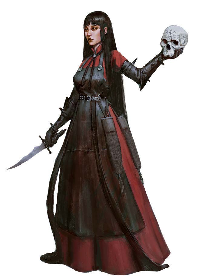 Companions: Introducing Valerie, the Brevic Fighter  Pathfinder: Kingmaker  - the first CRPG in Pathfinder universe