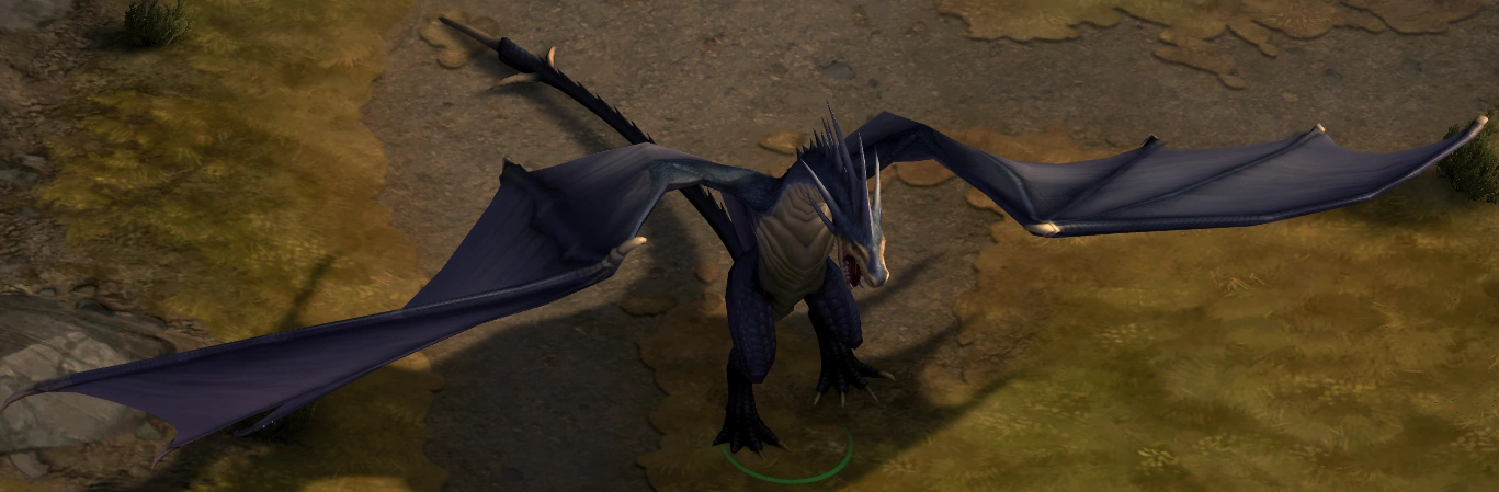 wyvern pathfinder