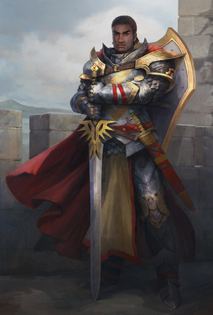 PlayerPaladin01