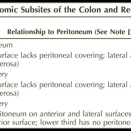 Rectum Pathology Resident Wiki Fandom