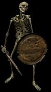 Skeleton.jpg