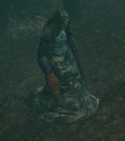 Bestiary water elemental.jpg