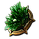 Natural Affinity inventory icon