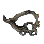 Twig Spirit Shield inventory icon.png