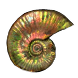 Ammonite Glyph inventory icon.png