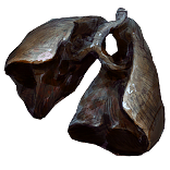 Malachai's Lungs inventory icon