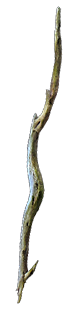 Gnarled Branch inventory icon.png