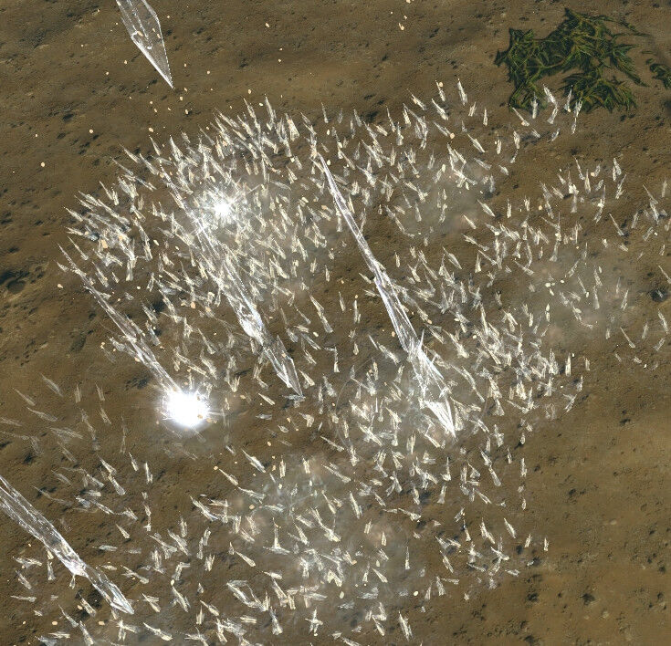 Icestorm skill screenshot.jpg