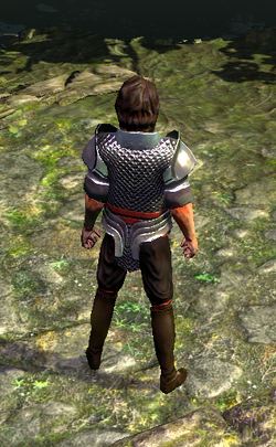 Chainmail Doublet2.bmp