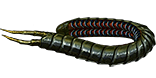 Ryslatha's Coil inventory icon.png