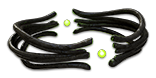 List of unique belts Path of Exile Wiki