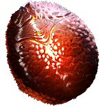Stuck at the Vault of Venarius/Hidden Reliquary --- I've turned both Vault Keys but nothing happens : r/pathofexile