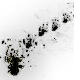 Ebony Footprints Effect inventory icon.png