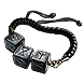Thief's Trinket inventory icon.png