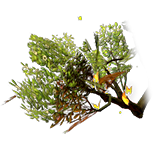 Verdant Wings inventory icon.png