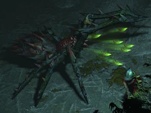 Spinner of False Hope