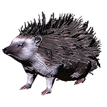 Hedgehog Pet inventory icon.png