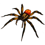 Nursery Web Spider Pet inventory icon.png
