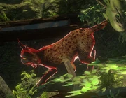 A Farric Lynx Alpha in the Menagerie