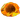 Hollow Fossil inventory icon.png