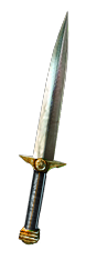 Skean inventory icon.png