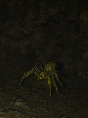 Пещерный легколап