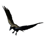 Raven Pet inventory icon.png