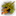 Essence of Hysteria inventory icon