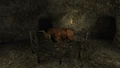 An aurochs in Pathologic Classic HD