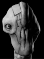 'Tumbler Human's' in-game portrait