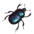 Beetle