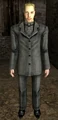 Vlad's full model in the Pathologic 2004 alpha